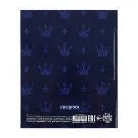 Дневник школьный для 1-11 классов, &laquo;Эмблема&raquo;, твёрдая обложка 7БЦ, глянцевая ламинация, 40 листов