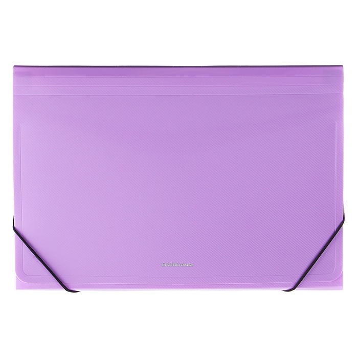 Папка-картотека, А4, 12 отделений, 600 мкм, ErichKrause Папка-картотека, А4, 12 отделений, 600 мкм, ErichKrause "Diagonal Pastel", на резинке, тиснение, микс