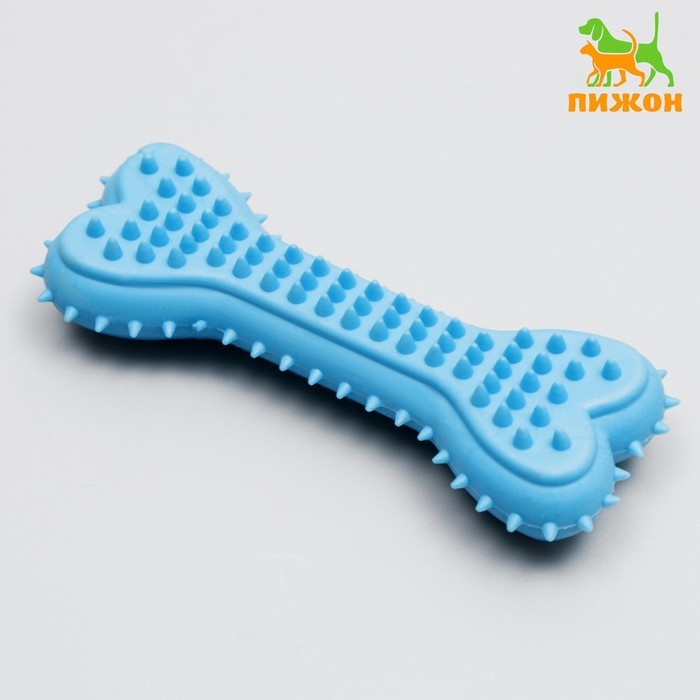 Игрушка жевательная литая Игрушка жевательная литая "Кость для массажа", 11 х 4 х 2 см, голубая