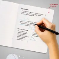 Тетрадь 12 листов в узкую линию, Calligrata &laquo;Однотонная Классика. Эконом&raquo;, МИКС
