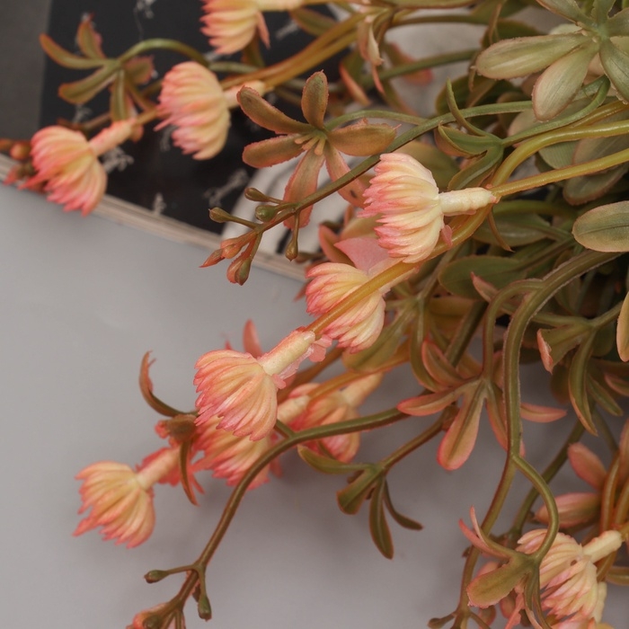 Букет Букет "Фуксия миенван" 32 см, микс