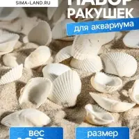 Набор ракушек, 2 - 3.5 см, 100 г