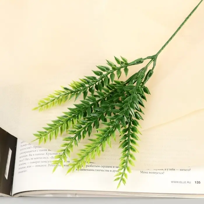 Букет «Папоротник пышный», 22 см Букет «Папоротник пышный», 22 см