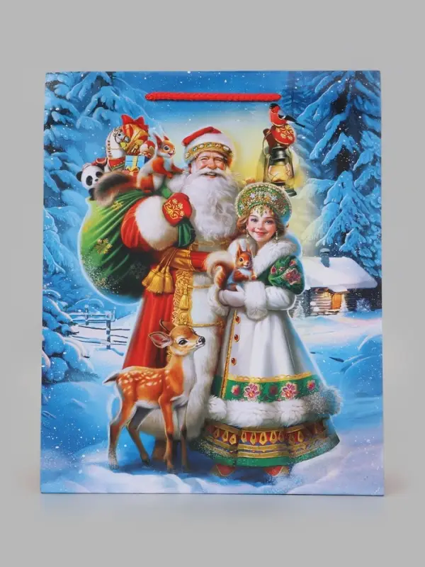 Пакет подарочный &laquo;Дед Мороз и Снегурочка&raquo;, 26&times;12&times;32 см