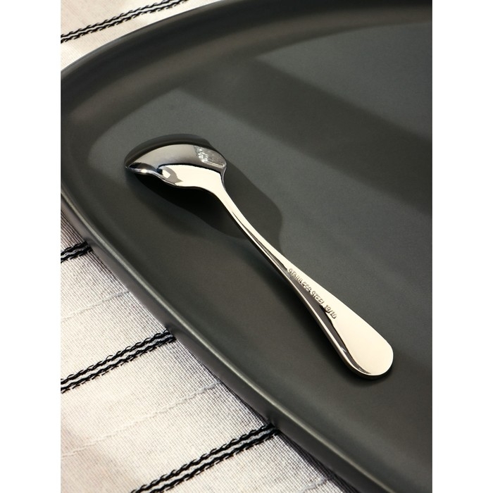 Ложка для мороженого из нержавеющей стали Magistro, длина 13 см, цвет серебряный Ложка для мороженого из нержавеющей стали Magistro, длина 13 см, цвет серебряный