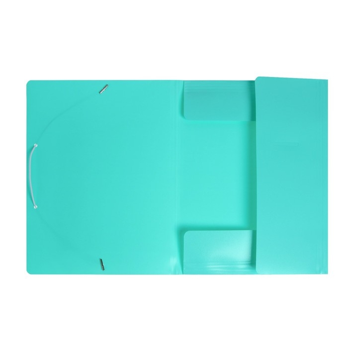 Папка на резинке А4, 500 мкм, Calligrata, Pastel, корешок 20 мм, до 150 листов, тиснение  Папка на резинке А4, 500 мкм, Calligrata, Pastel, корешок 20 мм, до 150 листов, тиснение "песок", мятный