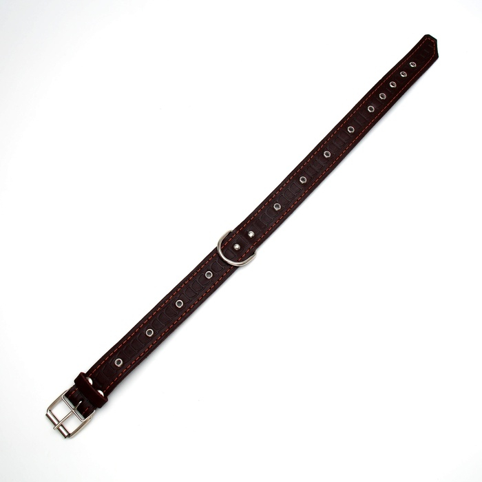 Ошейник кожаный тисненый на фетре, безразмерный, 64 х 3,5 см, ОШ 31-60 см, коричневый Ошейник кожаный тисненый на фетре, безразмерный, 64 х 3,5 см, ОШ 31-60 см, коричневый