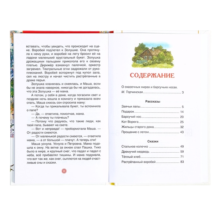 Книга «Рассказы и сказки для детей», Паустовский К.Г., внеклассное чтение Книга «Рассказы и сказки для детей», Паустовский К.Г., внеклассное чтение