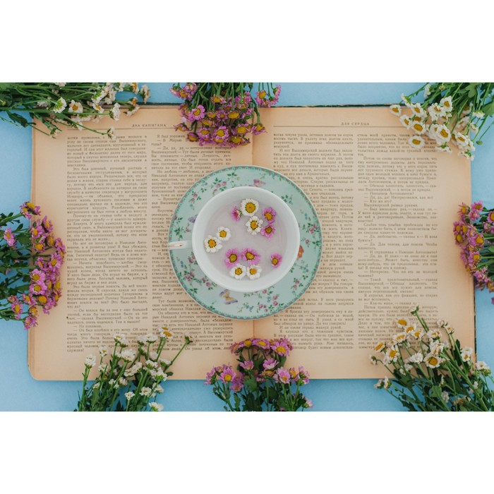 Чайная пара керамическая Доляна «Пелагея», 2 предмета: чашка 220 мл, блюдце d=14 см Чайная пара керамическая Доляна «Пелагея», 2 предмета: чашка 220 мл, блюдце d=14 см