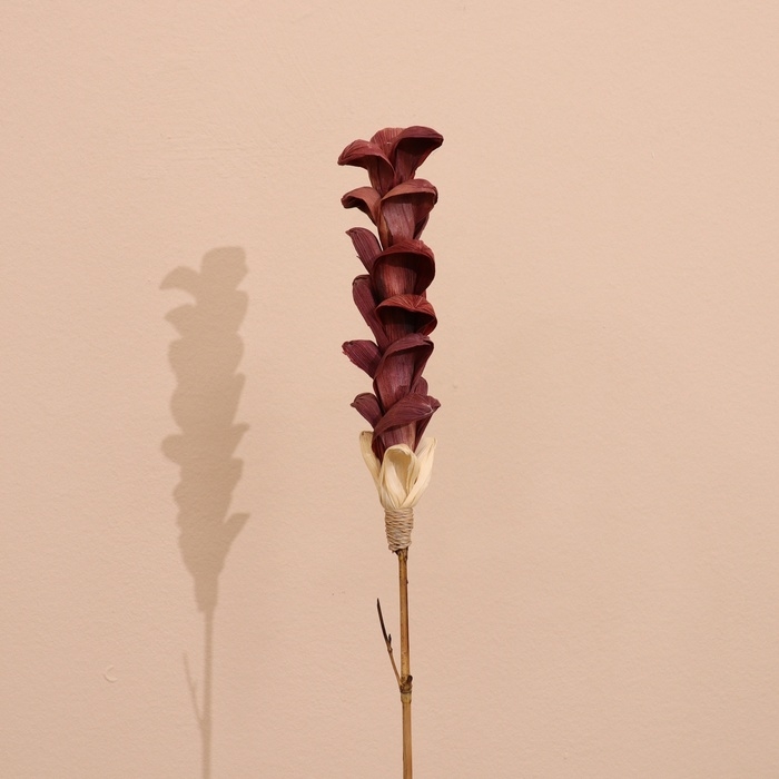 Сухоцвет на бамбуковом стебле 150 см фиолетовый Сухоцвет на бамбуковом стебле 150 см фиолетовый