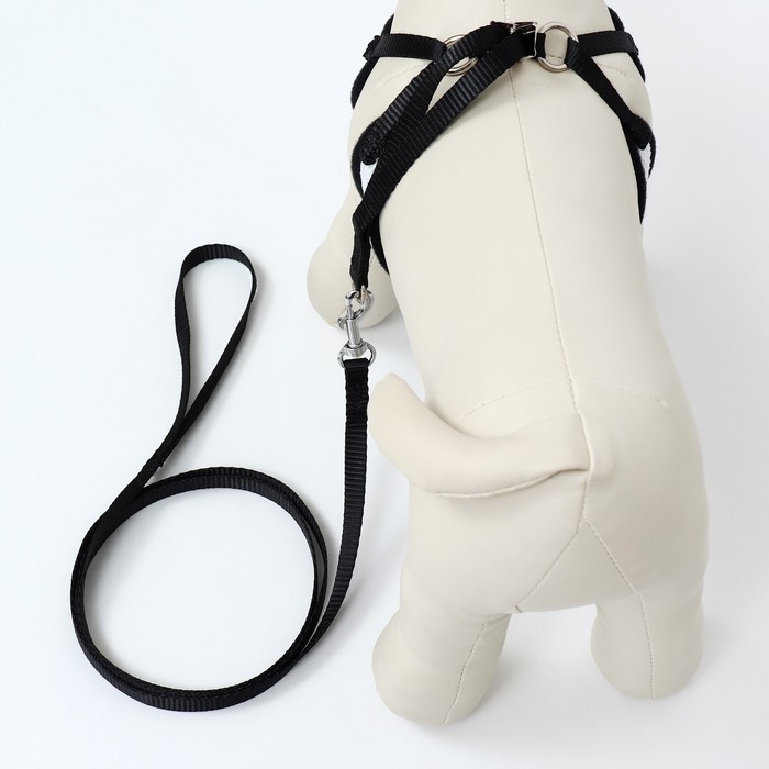 Комплект с мягкой шлейкой и бантиком , размер S, поводок 120 x 1,5 см, ОГ 23-42 см, серый Комплект с мягкой шлейкой и бантиком , размер S, поводок 120 x 1,5 см, ОГ 23-42 см, серый