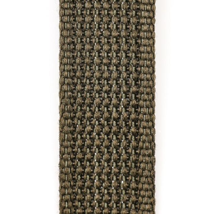 Поводок брезентовый 2 м х 2,5 см, тёмно-зелёный Поводок брезентовый 2 м х 2,5 см, тёмно-зелёный