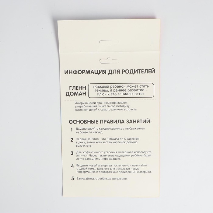 Развивающая игра на липучках «Изучаем транспорт вместе», методика Домана, с обучающими карточками по методике Глена Домана Развивающая игра на липучках «Изучаем транспорт вместе», методика Домана, с обучающими карточками по методике Глена Домана