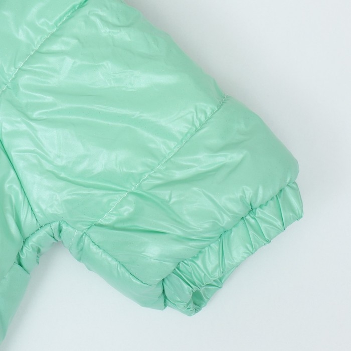 Комбинезон "Глянец", размер 2XL (ДС 44, ОГ 59, ОШ 44 см), мятный