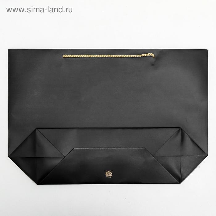 Пакет подарочный, упаковка, Present, 33 х 31 х 13 см Пакет подарочный, упаковка, Present, 33 х 31 х 13 см