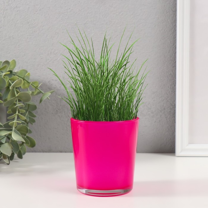 Набор для выращивания растений Набор для выращивания растений "Вырасти травку" розовый