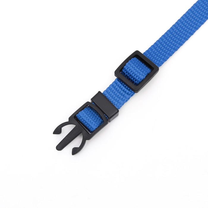 Ошейник кошачий Ошейник кошачий "Бантик" со стразами, 30 х 1 см, синий