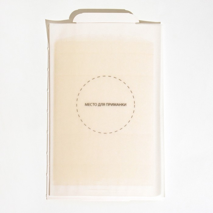 Домик клеевой Mr. MOUSE от грызунов Домик клеевой Mr. MOUSE от грызунов