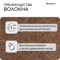 Кокосовое волокно, для мульчирования, 2 л, Greengo