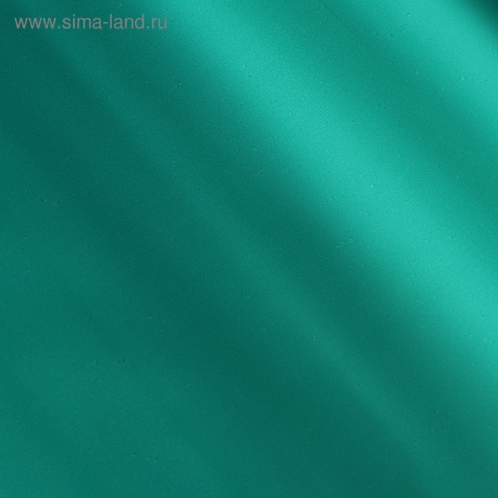 Пленка для цветов  Пленка для цветов "Глянец", зеленый, 58 см х 5 м