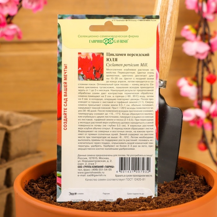 Семена цветов Цикламен  Семена цветов Цикламен "Юля", 3 шт.