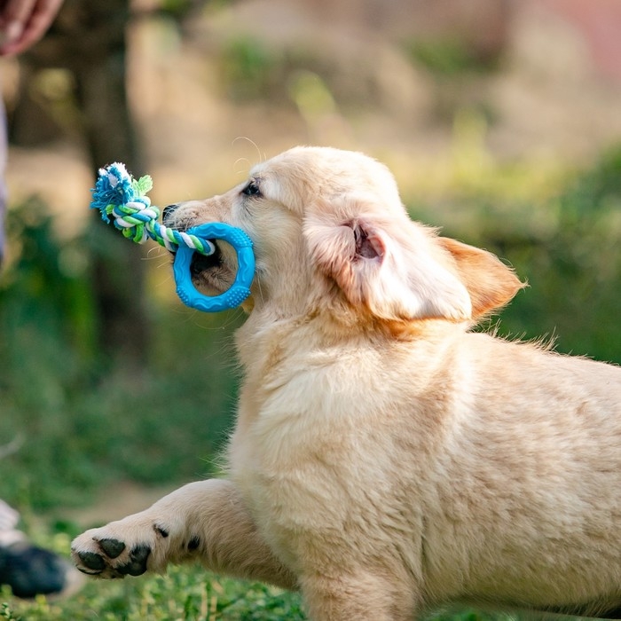 Игрушка жевательная с канатом "Кусочек солнца", 8 см, голубая
