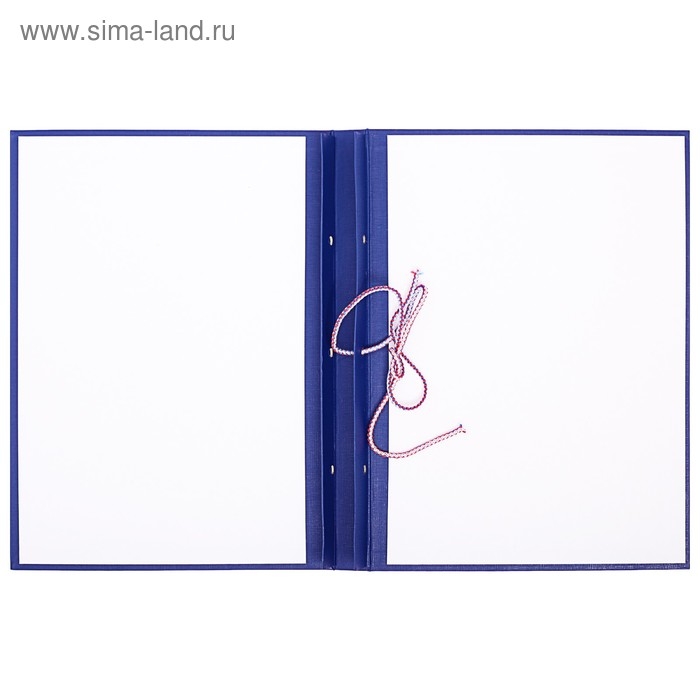 Папка для дипломных работ (Без надписи), бумвинил, гребешки/сутаж, без бумаги, цвет синий (вместимость до 300 листов) Папка для дипломных работ (Без надписи), бумвинил, гребешки/сутаж, без бумаги, цвет синий (вместимость до 300 листов)
