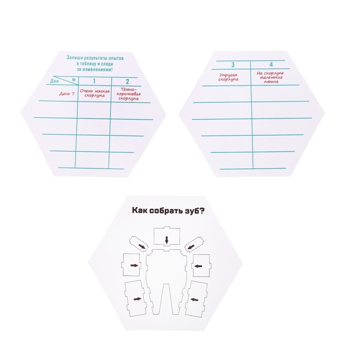 Набор для опытов «Зачем мы чистим зубы?», в пакете Набор для опытов «Зачем мы чистим зубы?», в пакете