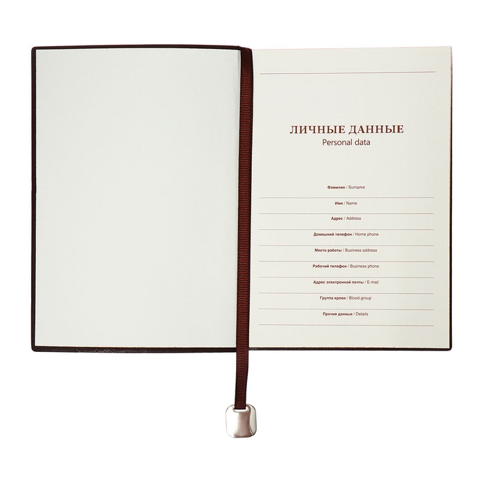 Органайзер на кольцах, А5, 116л, клетка, обл.кожзам, коричневый срез, Синий Органайзер на кольцах, А5, 116л, клетка, обл.кожзам, коричневый срез, Синий