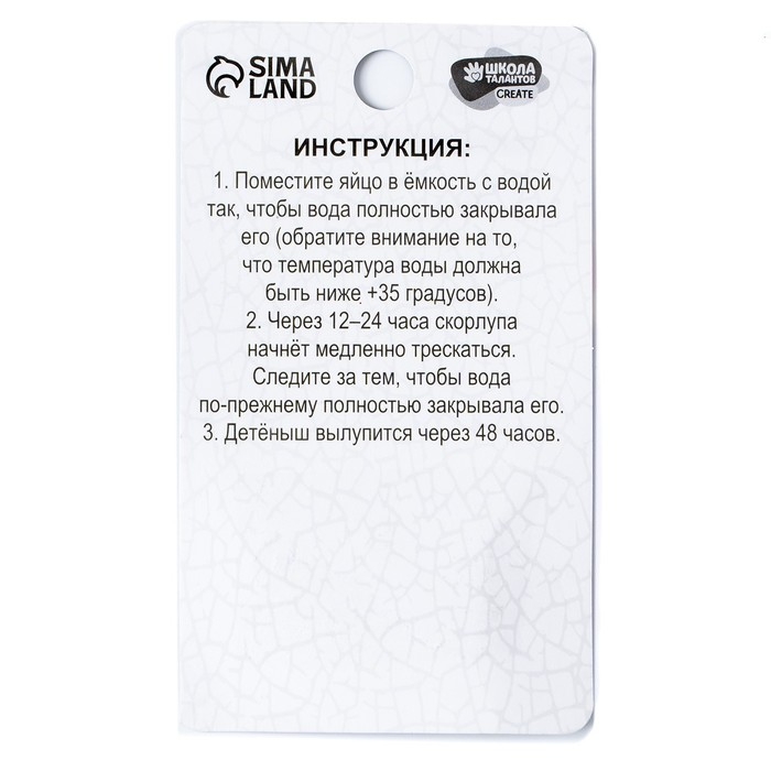 Растущие игрушки «Мир динозавров», МИКС Растущие игрушки «Мир динозавров», МИКС