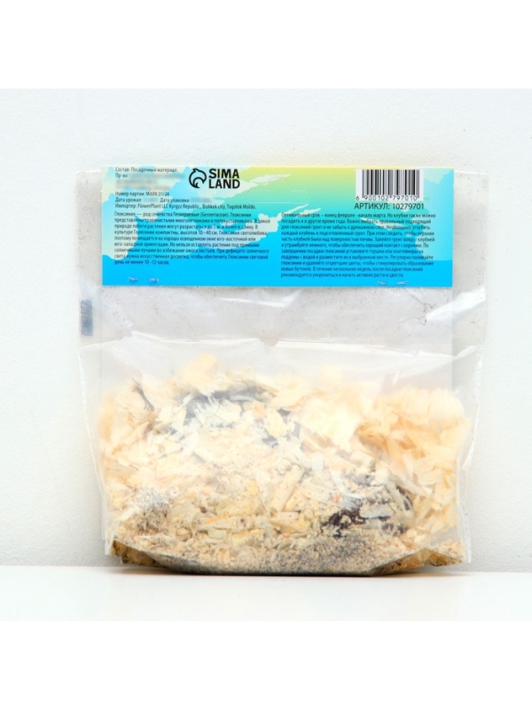 Глоксиния «Бланш де Меру», многолетник, комнатный, луковица в пакете с перфорацией, р-р 5/6, 2 шт.