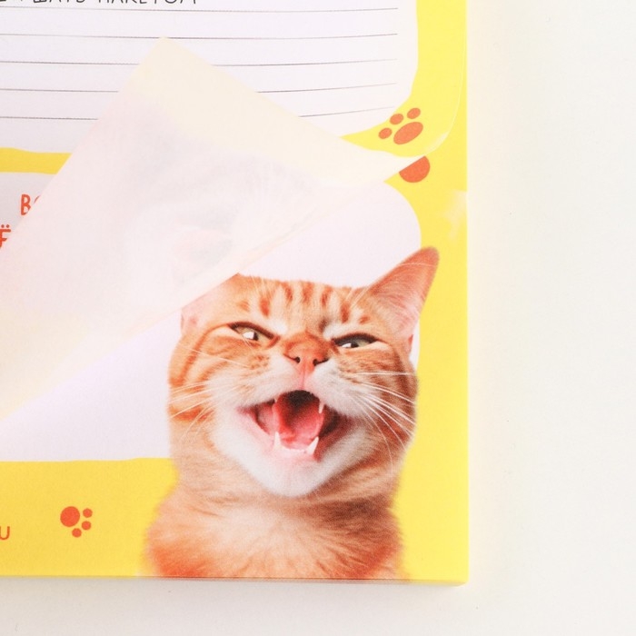 Планер с отрывными листами, 50 л «Кот»