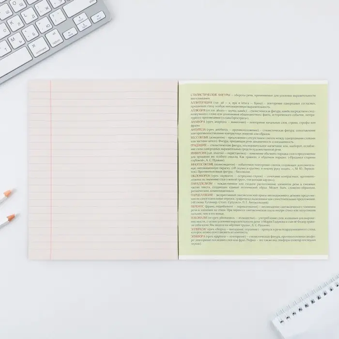 Тетрадь в линейку, предметная, 48 л.,на скрепке, А5 &laquo;МИНИМАЛИЗМ. Литература&raquo;