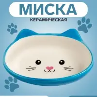 Миска &laquo;Кошачья мордочка&raquo;, 200 мл, 14&times;12&times;3.5 см, керамика, голубая, белая