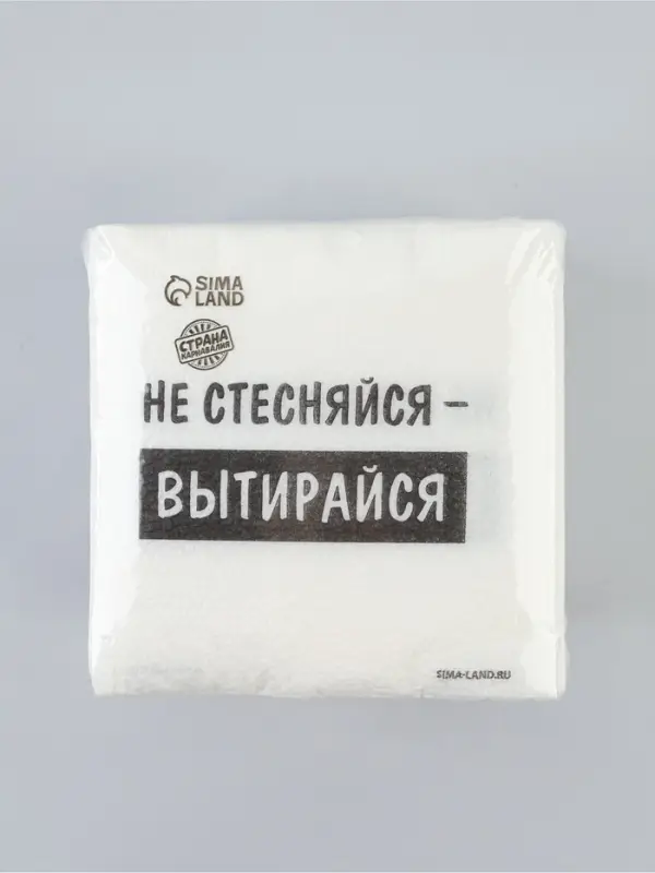 Салфетки бумажные однослойные &laquo;Не стесняйся-вытирайся&raquo;, 24&times;24 см, набор 100 шт.