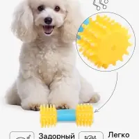 Игрушка для собак пищащая &laquo;Массажная гантель&raquo;, 14 см, жёлтая/голубая