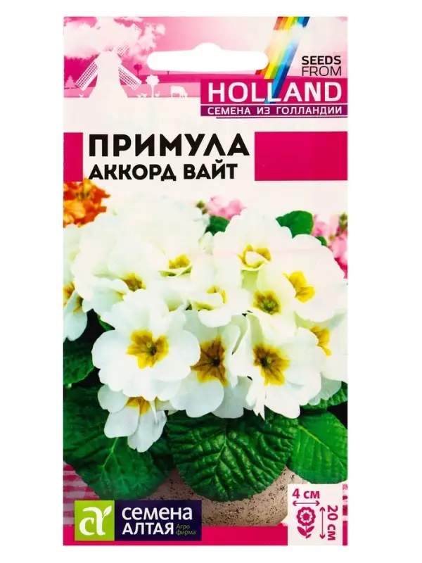 Семена Примула "Аккорд Вайт", ц/п,  5 шт