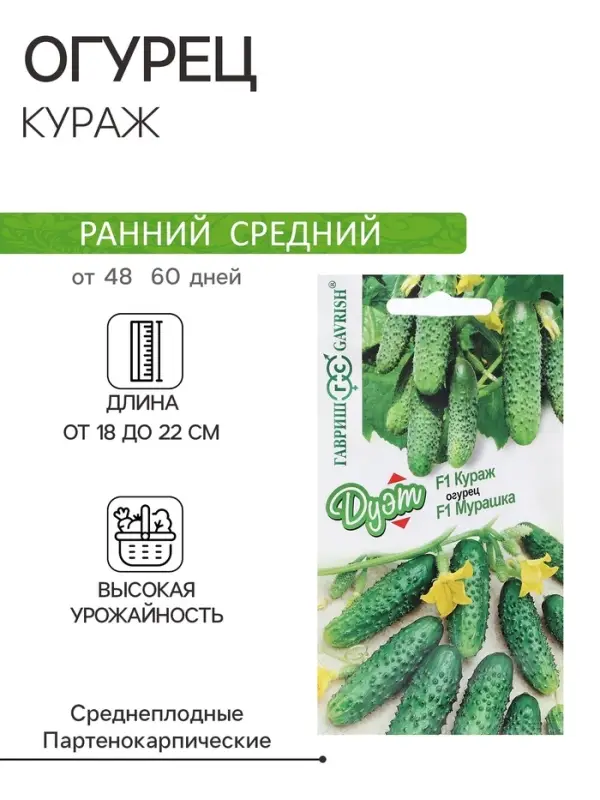Семена Огурец &laquo;Кураж&raquo;, F1, 10 шт. + &laquo;Мурашка&raquo;, F1, 10 шт., серия &laquo;Дуэт&raquo;, &laquo;Гавриш&raquo;