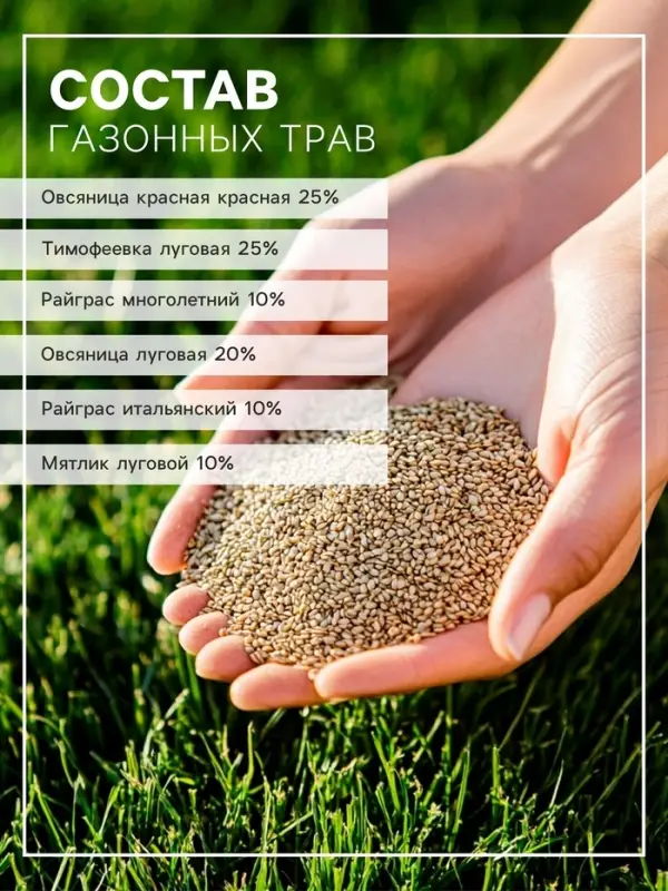 Газон универсальный &laquo;Зеленый квадрат&raquo;, 30 г