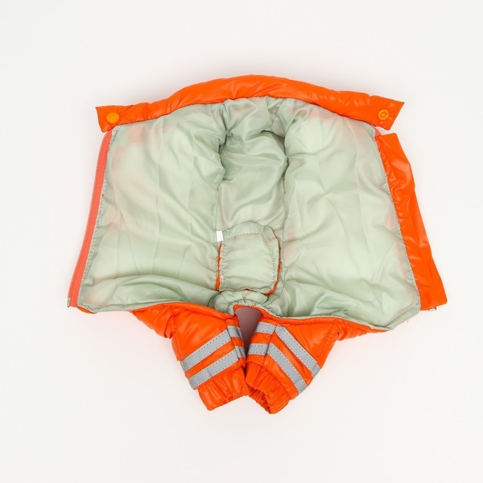 Комбинезон для собак Комбинезон для собак "Горошек", размер 22 (ДС 48, ОГ 54, ОШ 38 см), рыжий