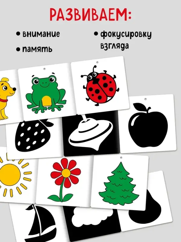 Набор картонных книжек-гармошек Набор картонных книжек-гармошек "Смотрим вместе", 6 шт.