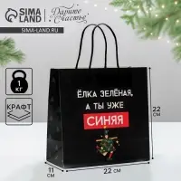 Пакет подарочный новогодний &laquo;А ты уже синяя&raquo;, 22&times;22&times;11 см