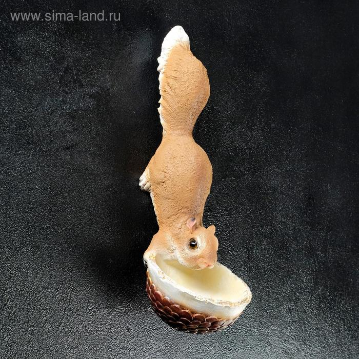 Подвесной декор - кормушка Подвесной декор - кормушка "Белочка" 11х11х35см