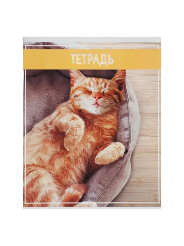 Тетрадь 36 листов в клетку, Calligrata &laquo;Кошки&raquo;, МИКС