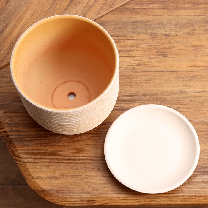 Горшок цветочный Лоза бежевый бук №2, 1,6 л, d - 15,2 см Горшок цветочный Лоза бежевый бук №2, 1,6 л, d - 15,2 см