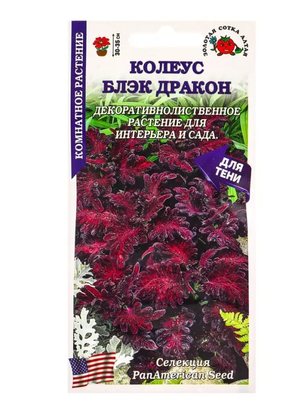 Семена Ком: Колеус Блэк Дракон /Сотка/ 10шт/ бордо. h-35см PanAm/*500 Семена Ком: Колеус Блэк Дракон /Сотка/ 10шт/ бордо. h-35см PanAm/*500