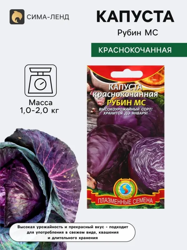 Семена Капуста краснокочанная &laquo;Рубин МС&raquo;, &laquo;Плазмас&raquo;