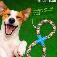 Игрушка для собак канатная &laquo;Восьмёрка&raquo;, тренировочная, до 38 см, до 260 г