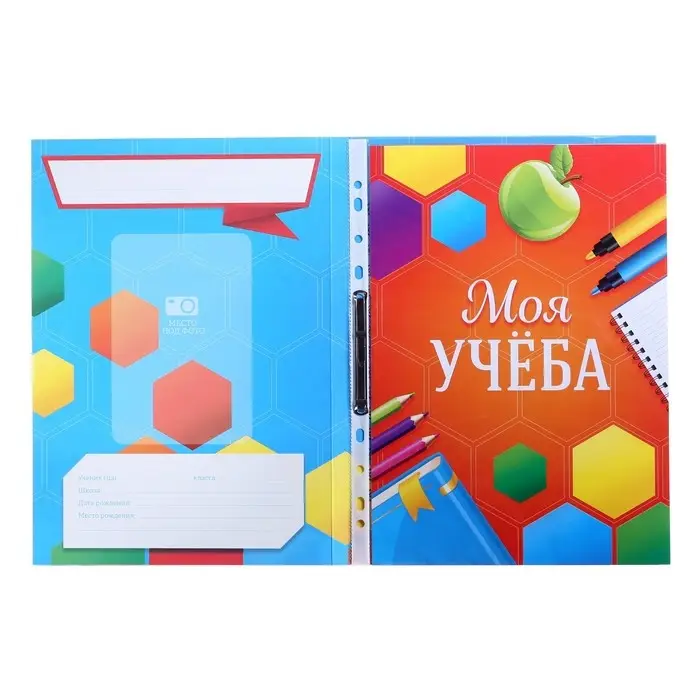 Папка школьная с креплением «Портфолио ученика начальной школы», 5 листов-разделителей, 21,5 х 30 см.
