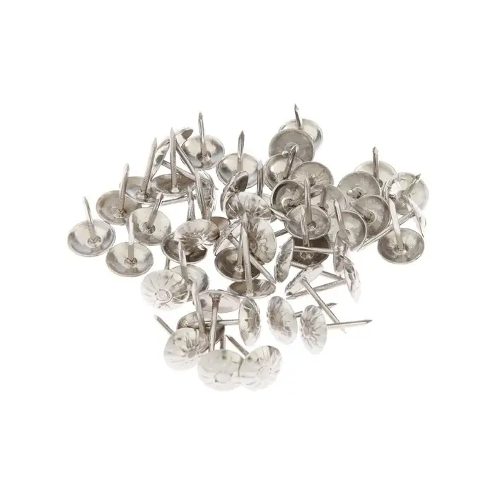 Гвозди ТУНДРА, декоративные, обивочные, фактурные, 11&times;16 мм, хром, 100 шт.